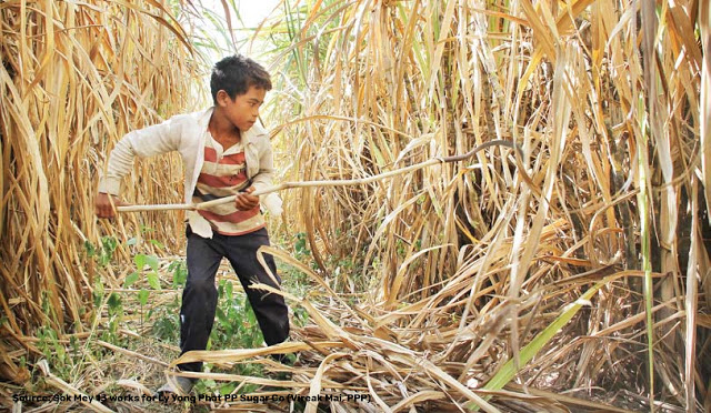 Children of the Fields: Child Labour in Agriculture