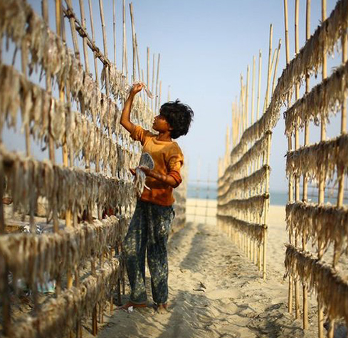 Supporting Action Against Child Labour in Asia