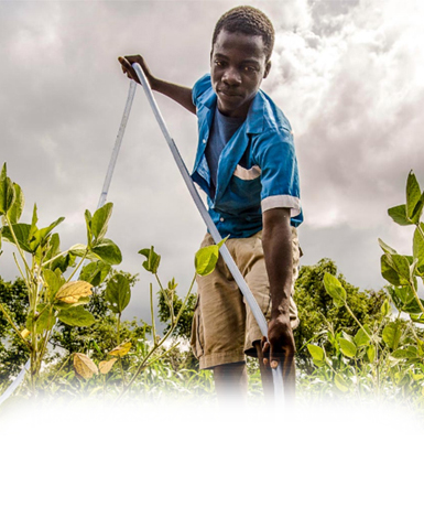 Immediate Action Needed to Address Pervasive  Child Labour in Agriculture