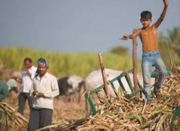 Revaluating Child Labour in Agriculture: The Sugarcane Case of India