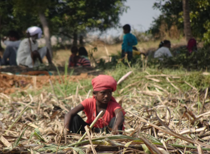 Child marriage and child labour: Slavery is not dead in sugarcane