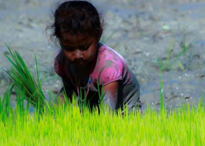 Child Labour in Agriculture and COVID-19: The Tale of Two Pandemics